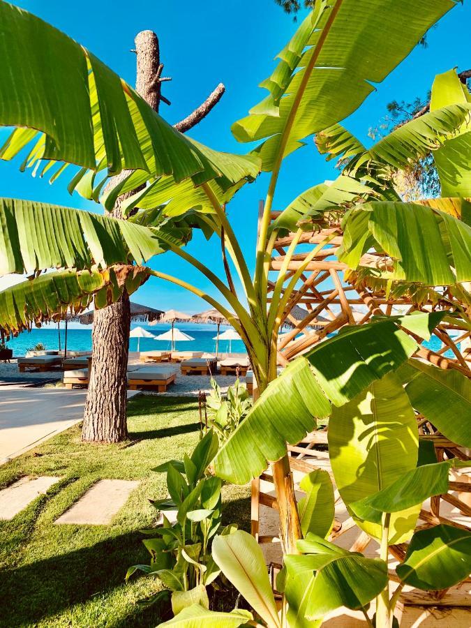 Mako Sea & Suites Pefkochori Bagian luar foto